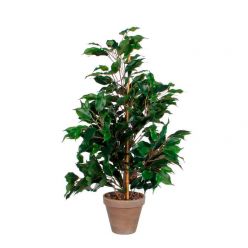 Plante artificielle Ficus Exotica 65 cm