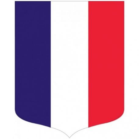 LOT SPECIAL 8 et 9 mai, lot écusson porte drapeau et drapeau français