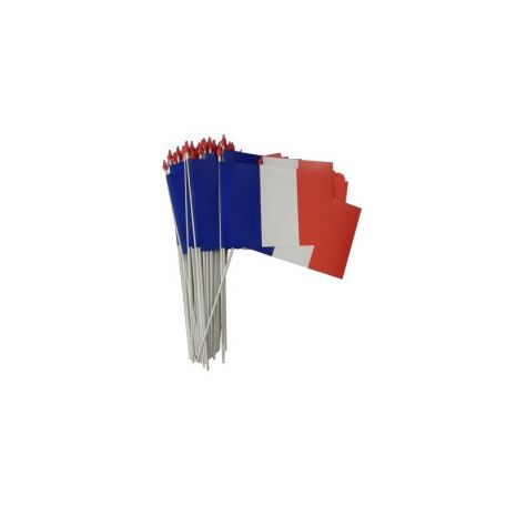 Lot de 10 petits drapeaux français avec baguette en plastique, mini drapeau  français de la France, drapeau national français pour célébrer la Coupe du  monde 14 x 21 cm : : Jardin