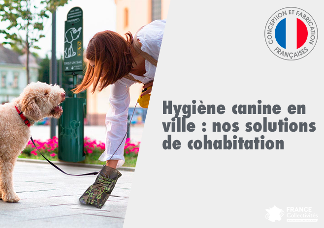 Hygiène canine en ville : nos solutions de cohabitation
