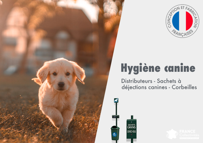 Hygiène canine